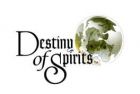 Carátula de Destiny of Spirits