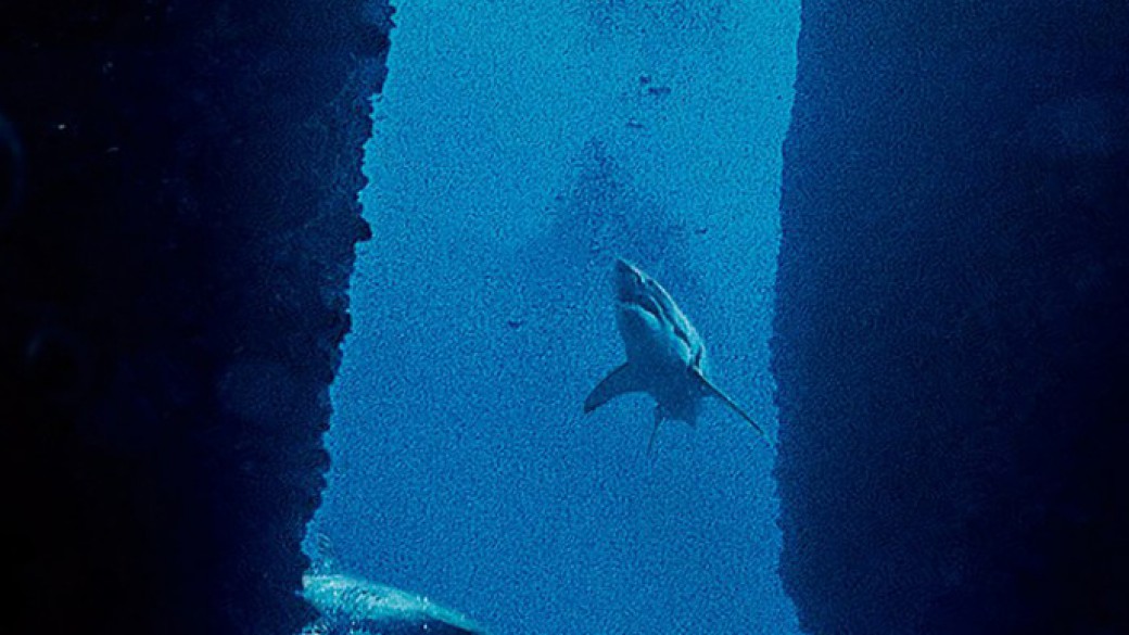 Submersed