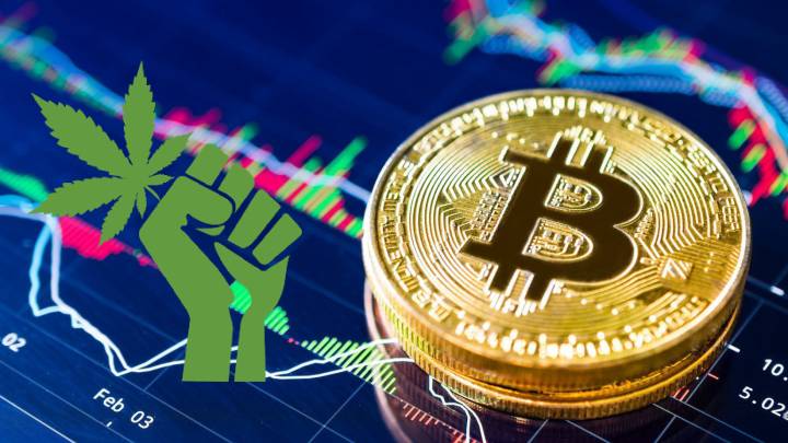 Narcos minan criptomonedas para ocultar sus ingresos por marihuana