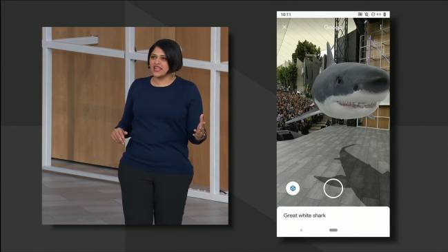 tiburon io 2019
