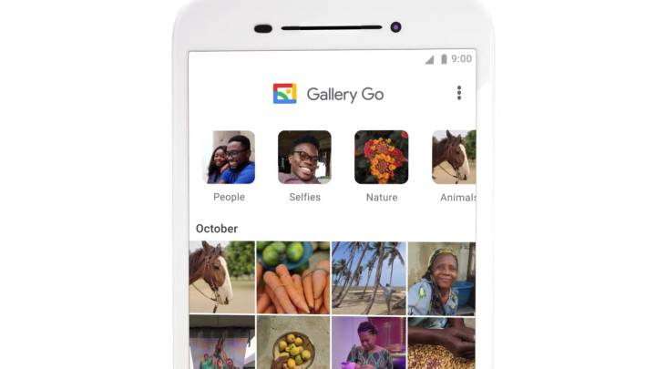 gallery go