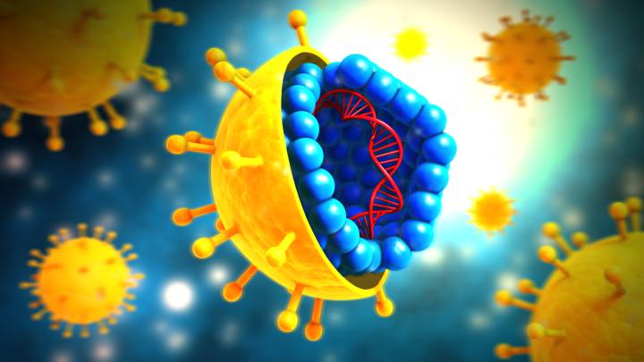 virus