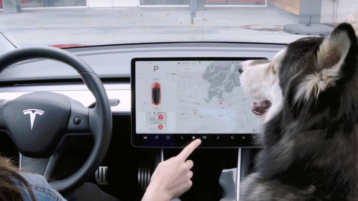 El terrible fallo del modo Perro en los coches Tesla que ya está en reparación