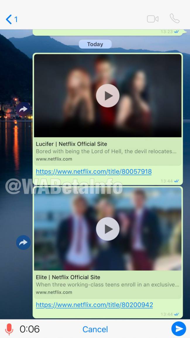 pip whatsapp netflxi