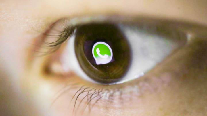 Cómo solicitar a WhatsApp información de tu cuenta