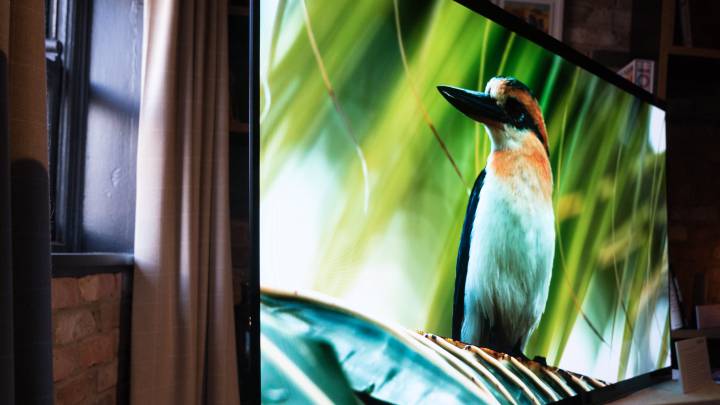 tv