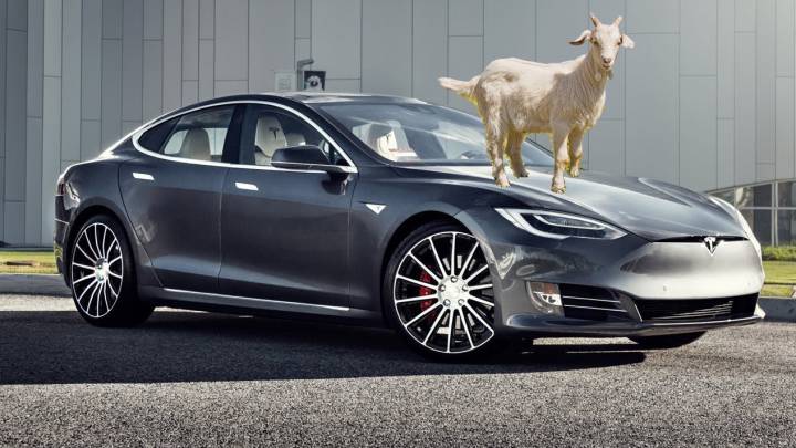 Claxons de cabras y pedos y detector de baches para los coches Tesla