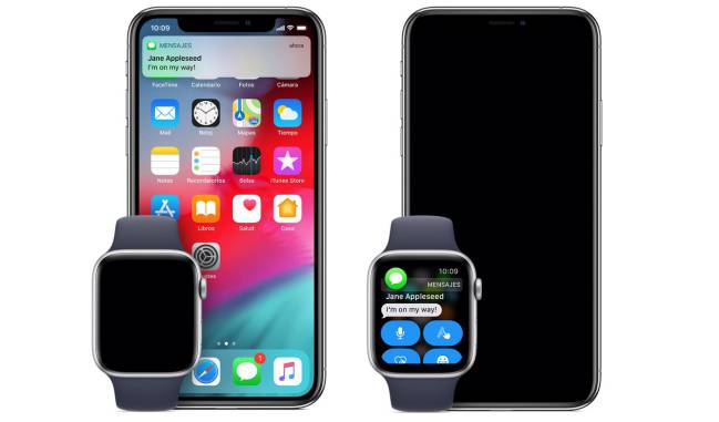 notificaicones appple watch