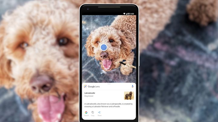 gogle lens