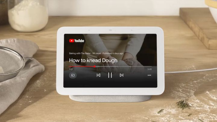nest hub