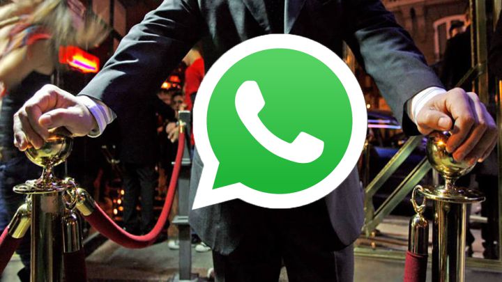 discoteca whatsapp