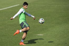 Alan Pulido