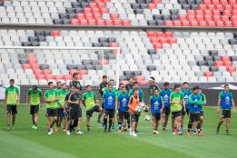 Listos los horarios para los partidos México vs Canadá