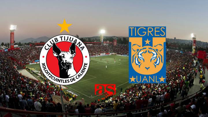 Resumen del Xolos de Tijuana 0-1 Tigres: Jornada 16, Liga MX. Viernes 4 de noviembre del 2016