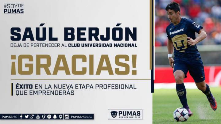 Pumas