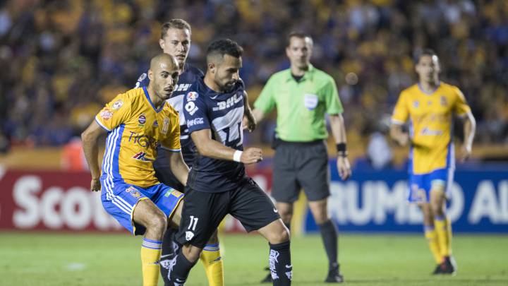 Pumas