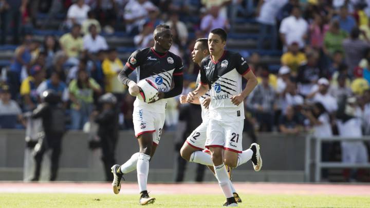 Lobos BUAP