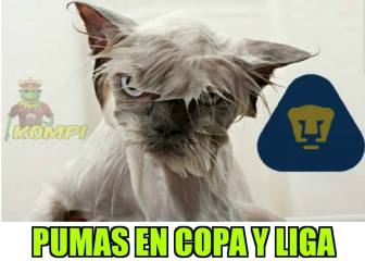 Pumas queda eliminado y los memes no paran de reír