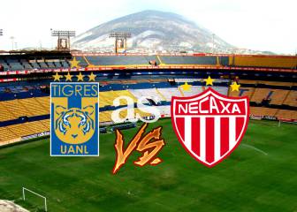 Tigres vs Necaxa (1-0): Resumen del partido y goles