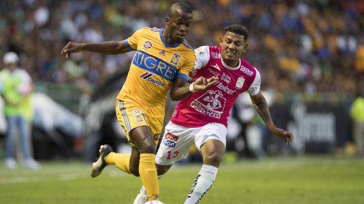Cómo y Dónde Ver el León vs Tigres, Cuartos de Final Ida