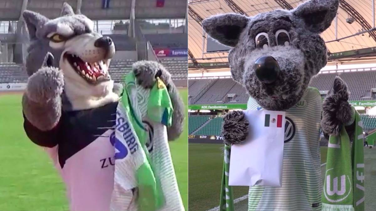 Lobos y Wolsburgo hacen oficial su asociación