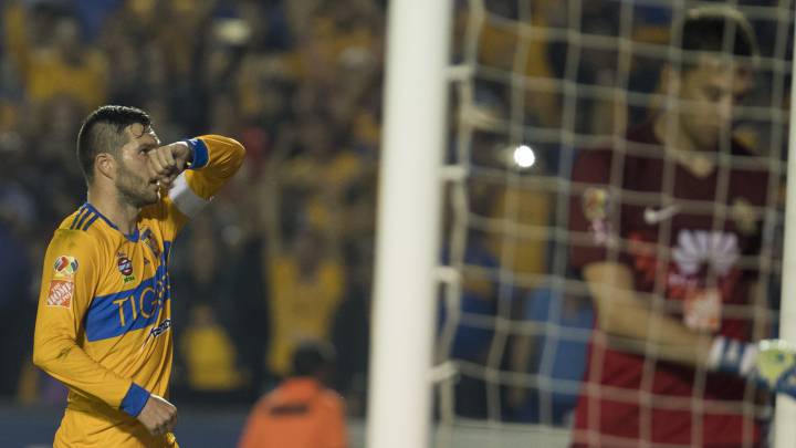 Tigres