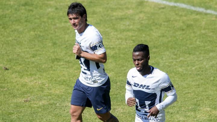 Pumas