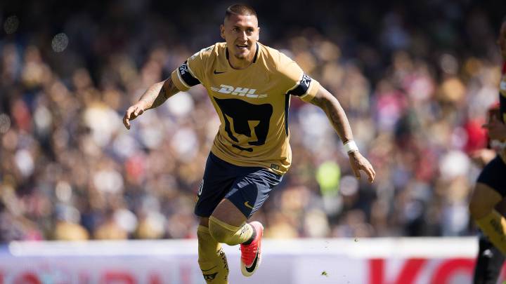 Pumas