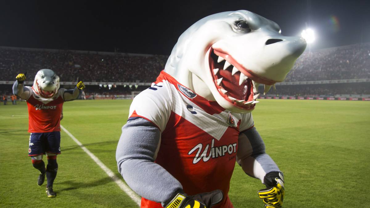 Fidel Kuri, dispuesto a pagar 120 mdp para evitar descenso de Tiburones