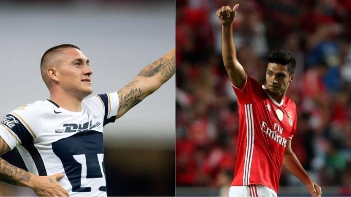 Nico Castillo supliría a Raúl Jiménez en el Benfica