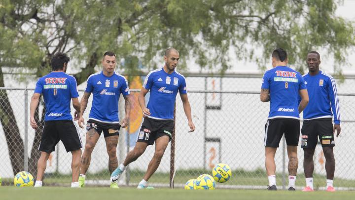 Guido Pizarro, Tigres