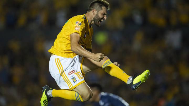 Tigres vuelve al triunfo devorándose al Tiburón