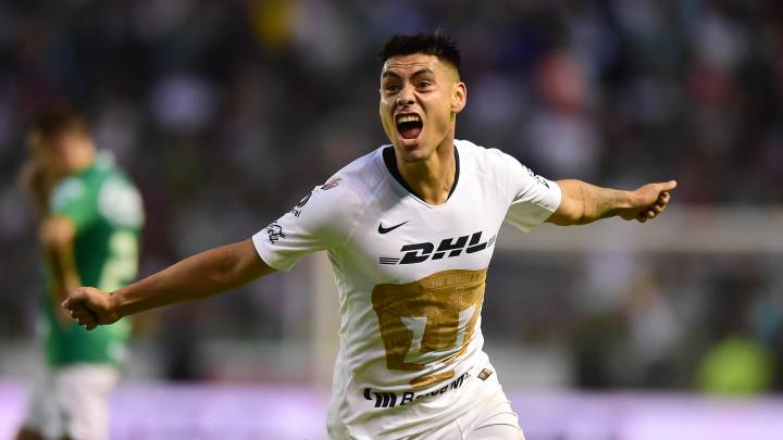 Pumas