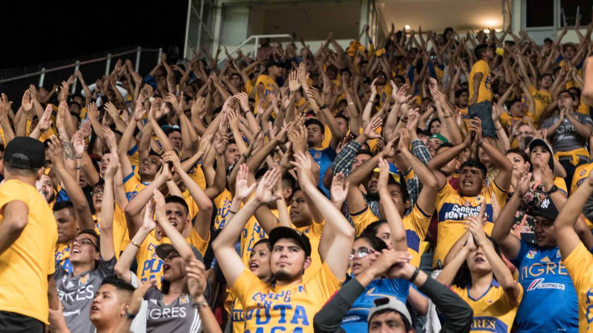 Rodolfo Palomo, el fan de Tigres agredido, será dado de alta este fin de semana