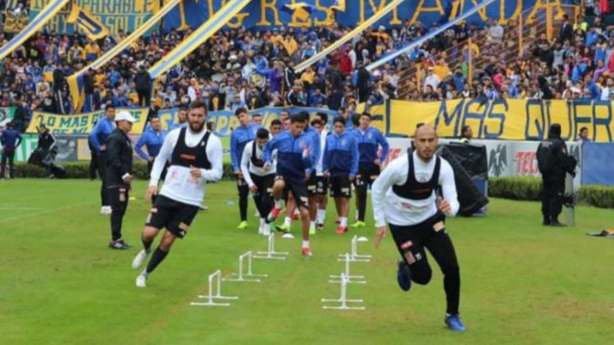 Tigres