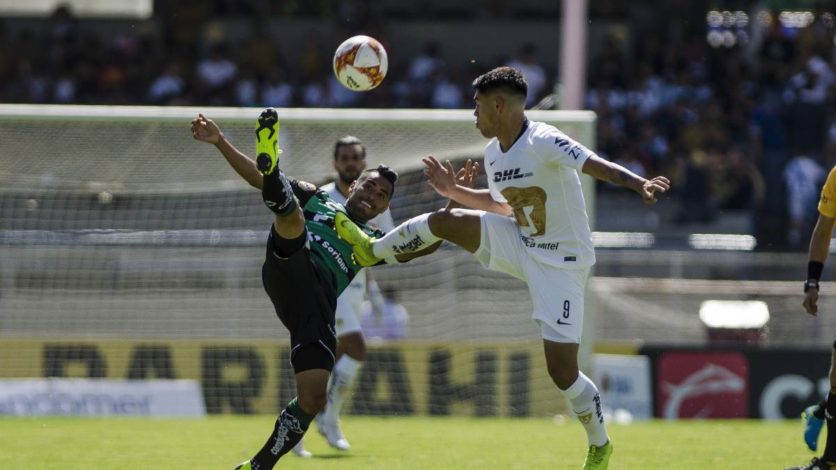 Pumas