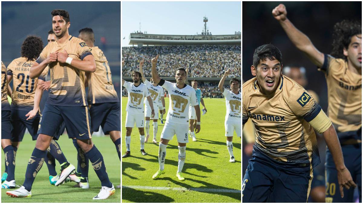 Pumas