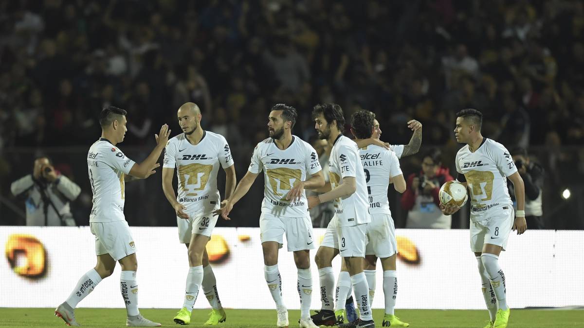 Pumas