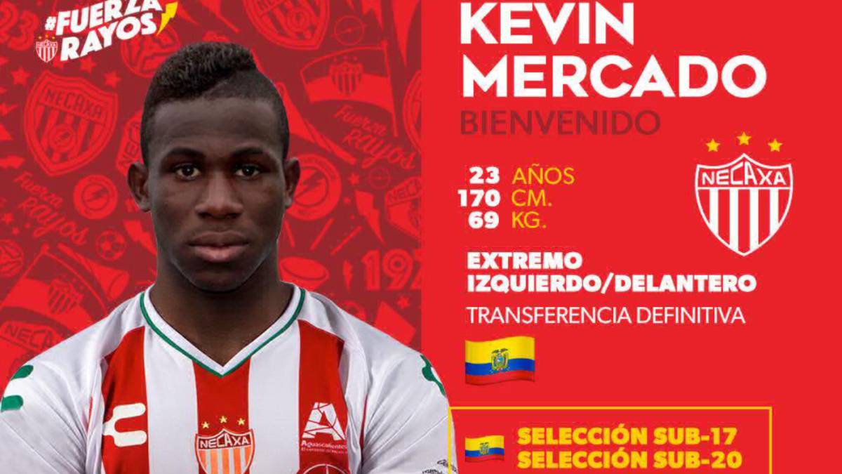 Necaxa da la bienvenida al ecuatoriano Kevin Mercado