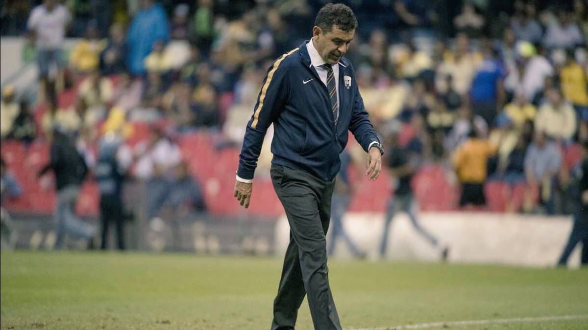 Nicolas Castillo