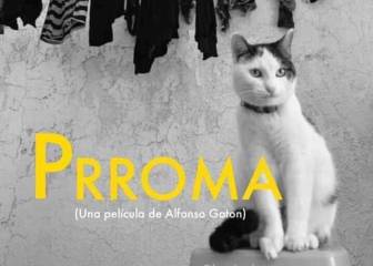 Los mejores memes para el 'Día Internacional del Gato'
