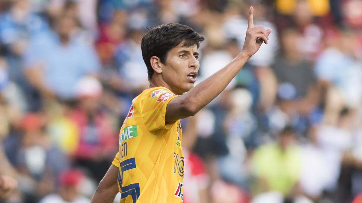 Jürgen Damm, Tigres