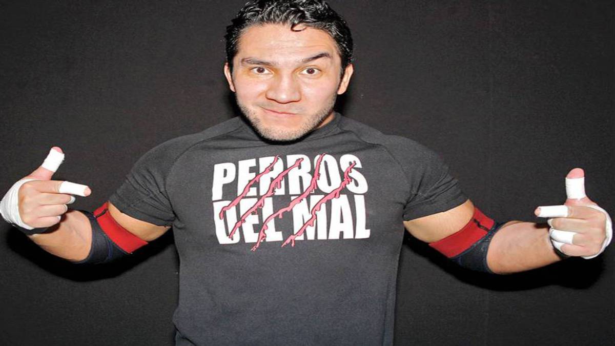 Se cumplen cuatro años de la muerto del Hijo del Perro Aguayo