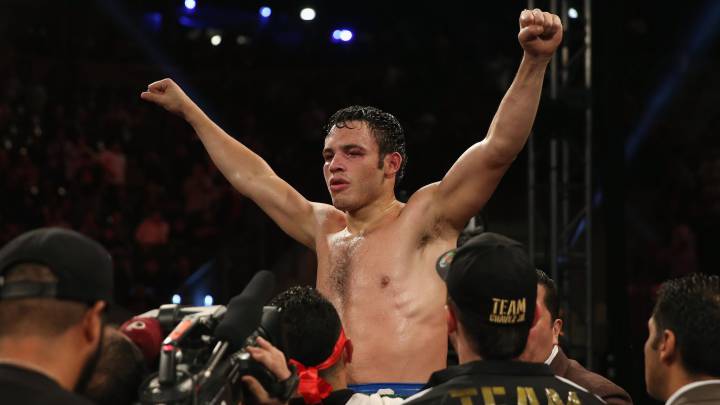 Julio César Chávez Jr. podría volver a pelear en junio