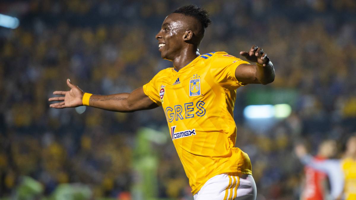 Tigres – Pumas en vivo: Liga MX, jornada 13 del Clausura 2019