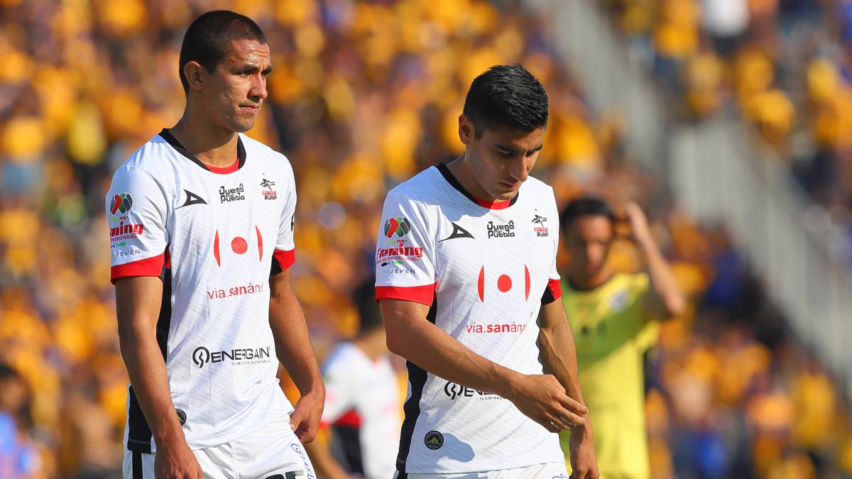 Lobos BUAP ya contactó a la FMF para su venta