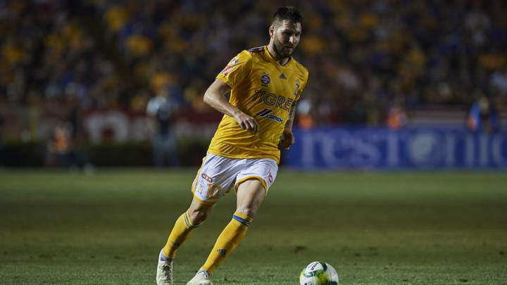 Tigres