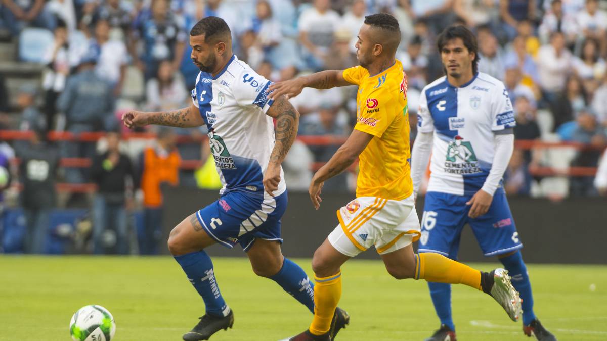 Tigres