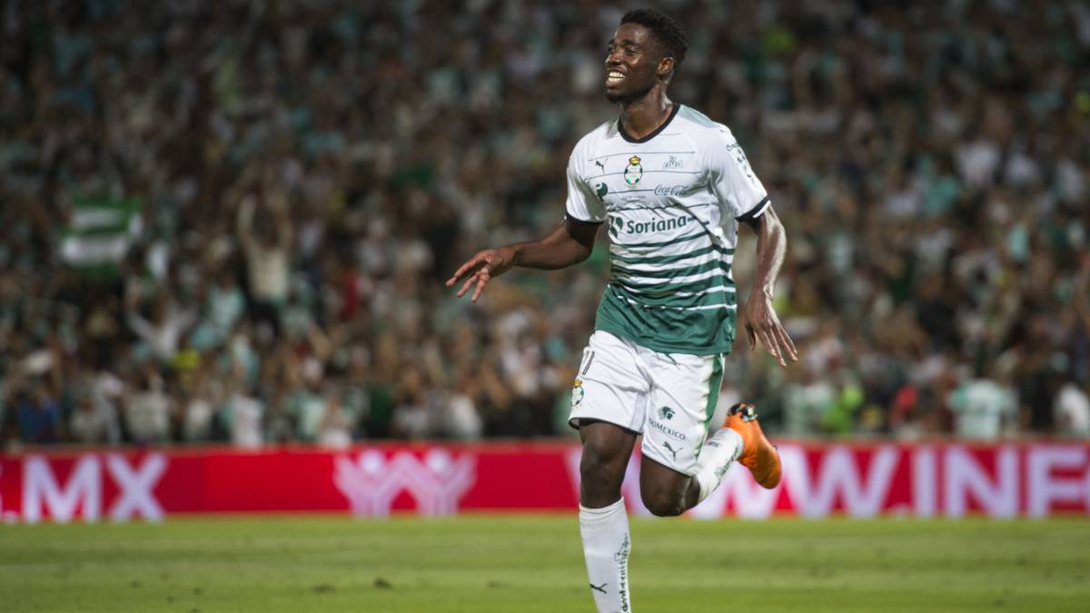 Djaniny