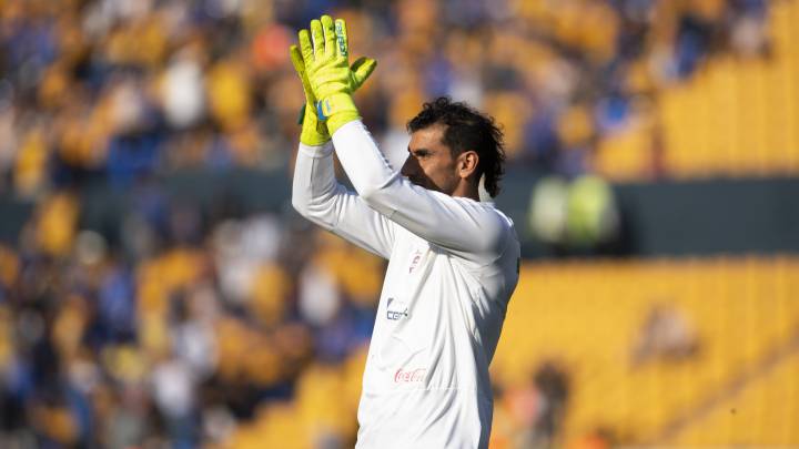 Tigres
